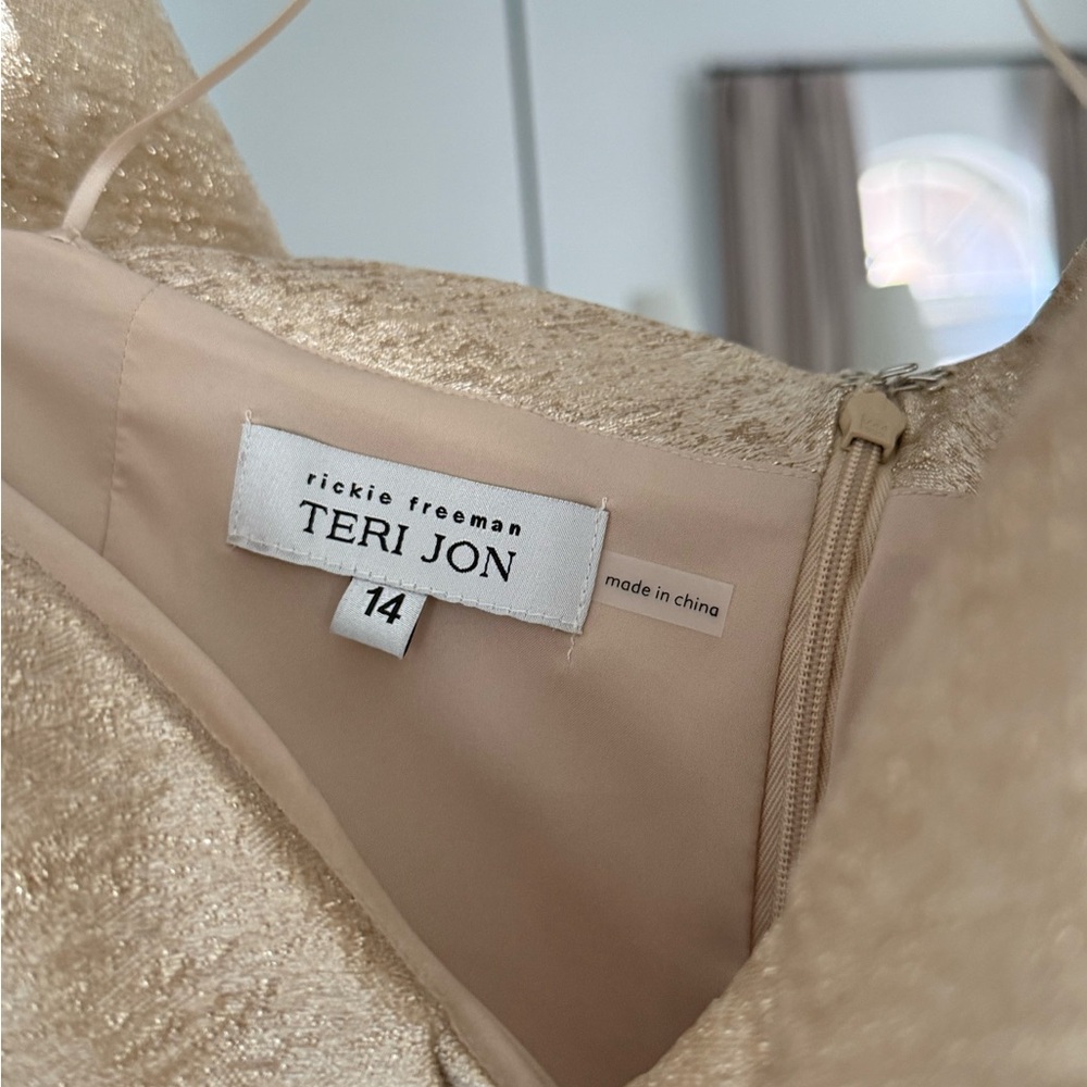 Teri Jon Shimmering Beige Gown - Picture 2 of 3